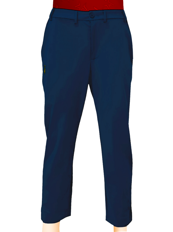 MEN PANT - NAVY